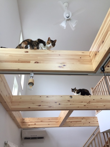 エス・デザイン 注文住宅